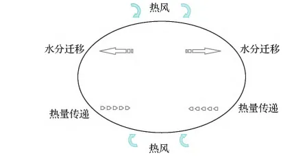 熱風(fēng)干燥傳熱傳質(zhì)示意圖